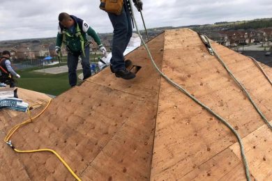 SHINGLE ROOF